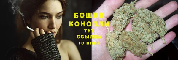 дживик Гусиноозёрск