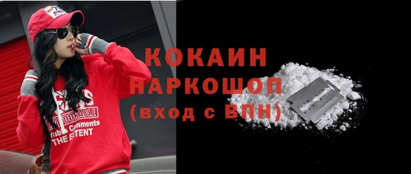 spice Гусев