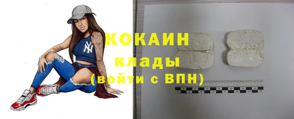 дживик Гусиноозёрск