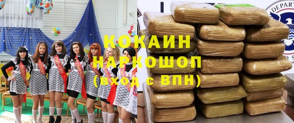 spice Гусев