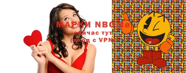 spice Гусев