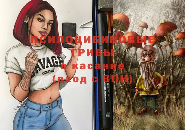 spice Гусев