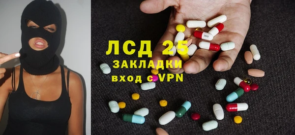 spice Гусев