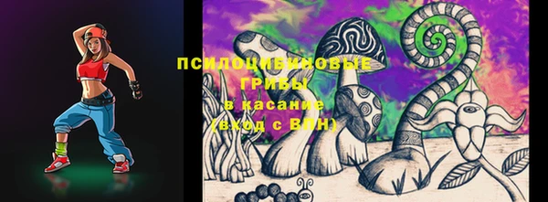 дживик Гусиноозёрск