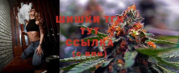 spice Гусев