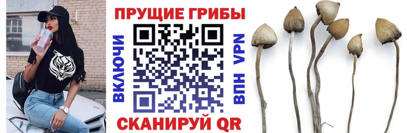 Псилоцибиновые грибы мухоморы  Гаврилов-Ям 